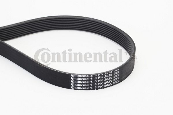 Pasek klinowy wielorowkowy CONTINENTAL CTAM 8PK2035