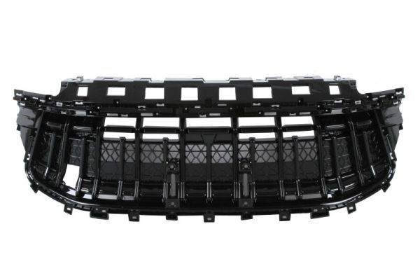 Grila radiator BLIC 6502-07-8400990P