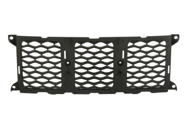 Grille de radiateur
