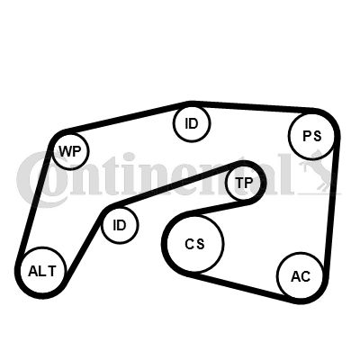 Pompa wodna + zestaw paska klinowego wielorowkowego CONTINENTAL CTAM 7PK2035WP1