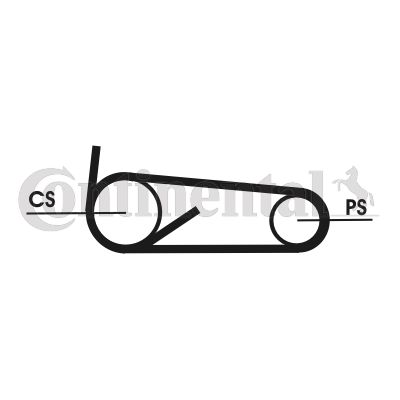 Zestaw paska klinowego wielorowkowego CONTINENTAL CTAM 4PK922 ELAST T1