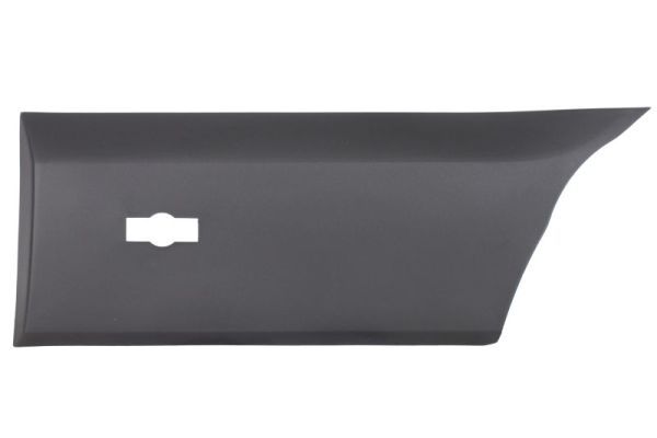 Ehis-/kaitseliist,Poritiib