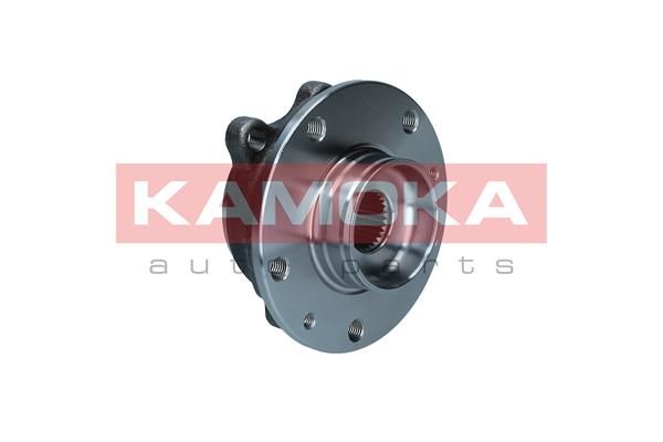 Zestaw łożysk koła KAMOKA 5500324