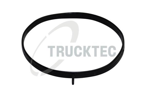 Blīve, Ieplūdes kolektora korpuss