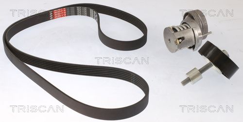 Zestaw paska klinowego wielorowkowego TRISCAN 8642 29048