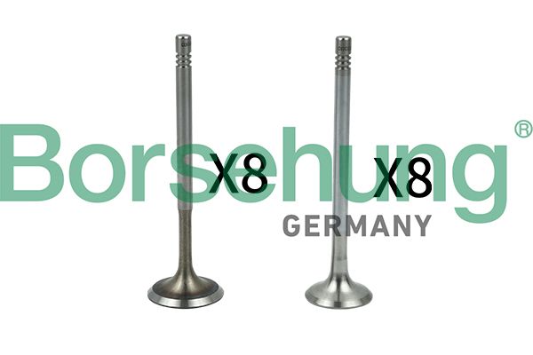 Set supape, supapă admisie/evacuare BORSEHUNG B18630