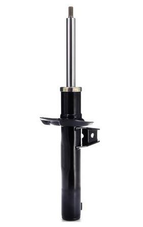 amortizor MTR 12108764