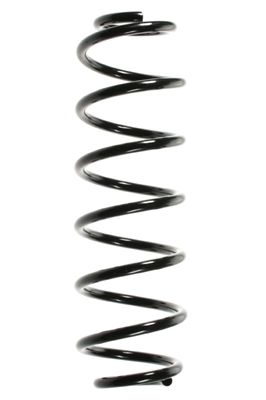 Arc spiral SPIDAN 49495