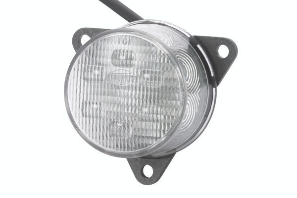 Dimbakljus HELLA 2NE 011 172-481 för VOLVO, SOLARIS, DAF, MAN, …