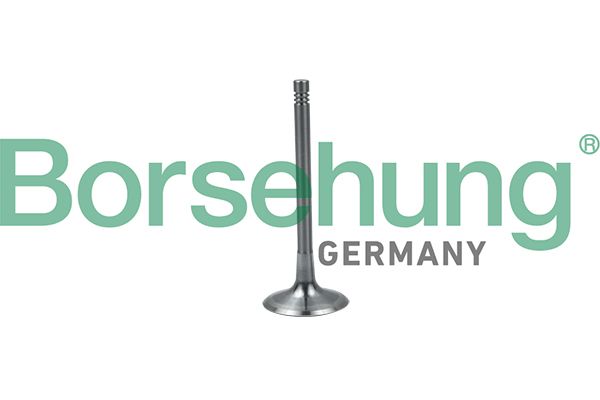 Supapa admisie BORSEHUNG B19024