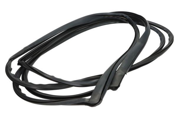 Garnitura, parbriz BLIC 5703-04-6037610Q