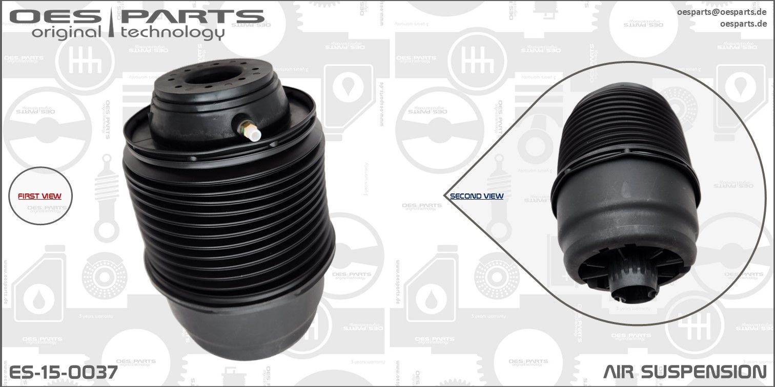 Pneimoatspere, Balstiekārta