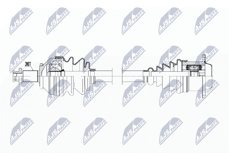 NTY NPWWW145