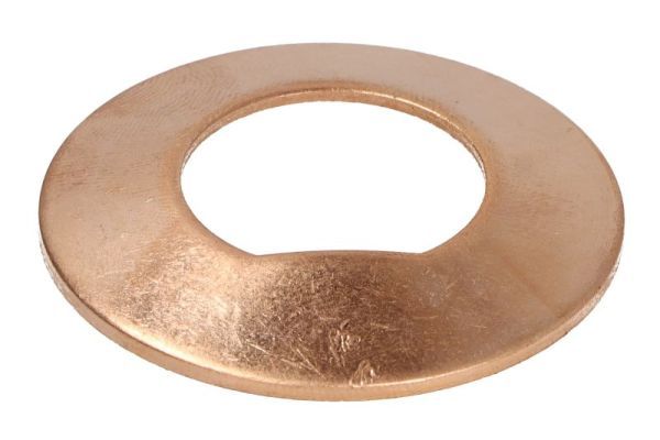 Placa presiune, roata dintata conica de echilibru-Diferentia BTA B06-2277