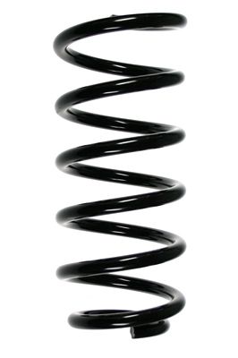 Arc spiral SPIDAN 56879