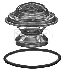 Termostat, środek chłodzący BORG & BECK BBT360
