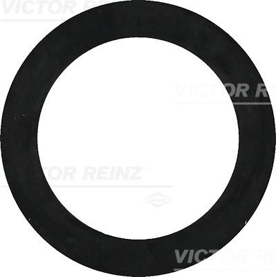 Těsnící kroužek VICTOR REINZ 40-77322-00