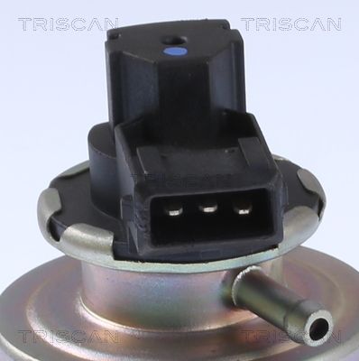 Levně AGR-Ventil TRISCAN 8813 24203
