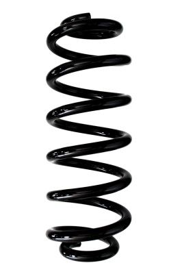 Arc spiral SPIDAN 87955