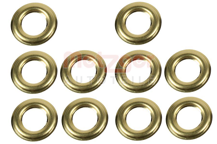 Kaitseseib,sissepritsesüsteem