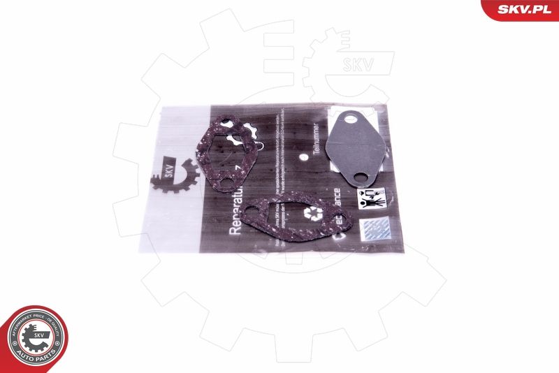 Set de reparație, supapă AGR ESEN SKV 14SKV548