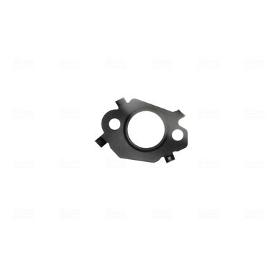 Module-EGR