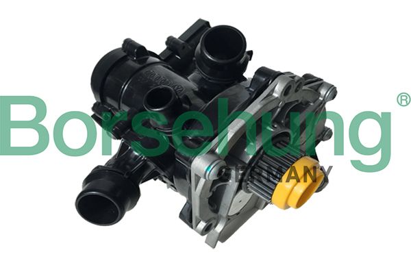 Pompa wody, chłodzenie silnika BORSEHUNG B18971