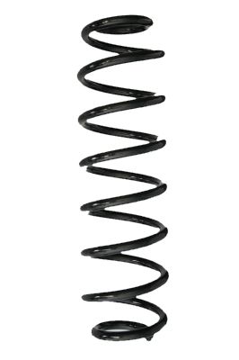 Arc spiral SPIDAN 88055