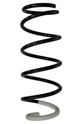 Arc spiral SPIDAN 88238