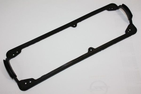 Garnitura, capac supape AUTOMEGA 190025110