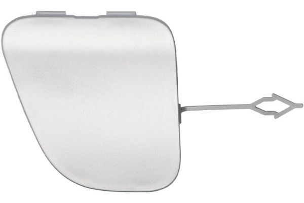 acoperire tampon,sistem de remorcare BLIC 5513-00-5036972P