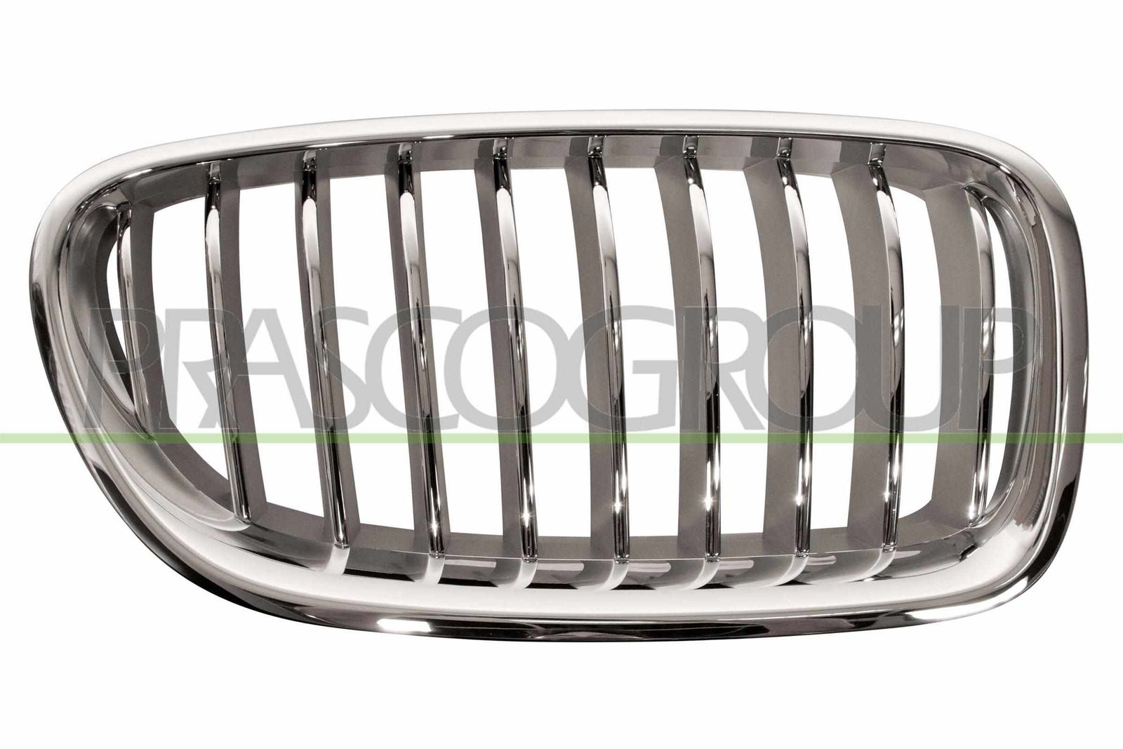 Grila radiator PRASCO BM0502013