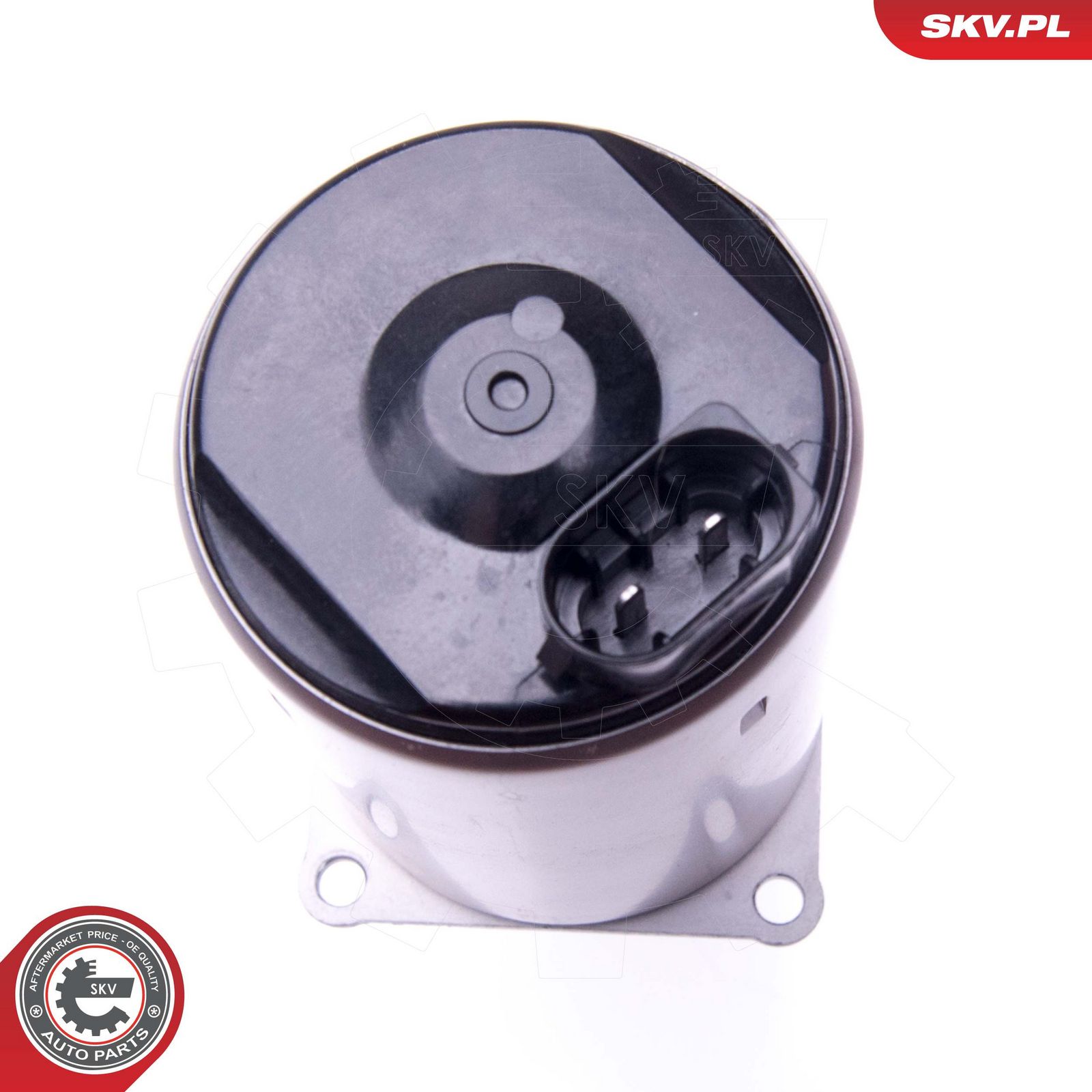 Levně Řídicí prvek, excentrická hřídel (variabilní zdvih ventilu) ESEN SKV 96SKV088