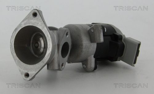 Zawór AGR TRISCAN 8813 17020
