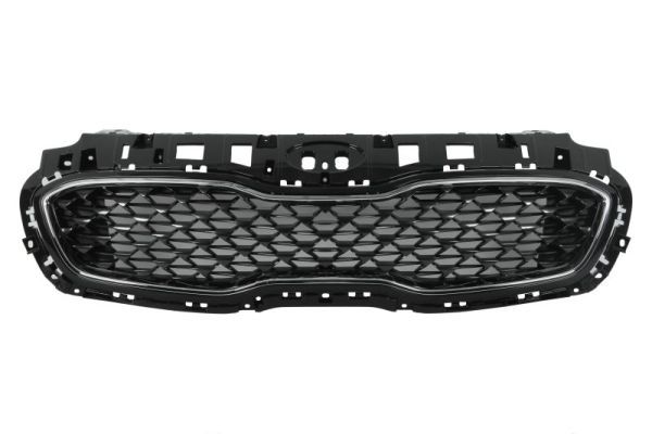 Grila radiator BLIC 6502-07-3296993P