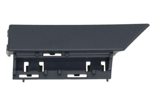 Ehis-/kaitseliist,Poritiib