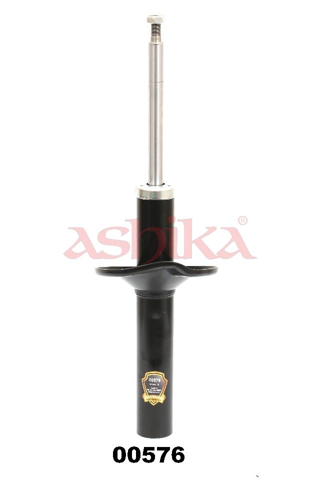 ASHIKA MA00576