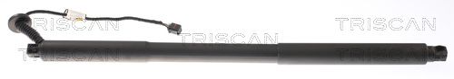 Amortizor portbagaj TRISCAN 8710 27305