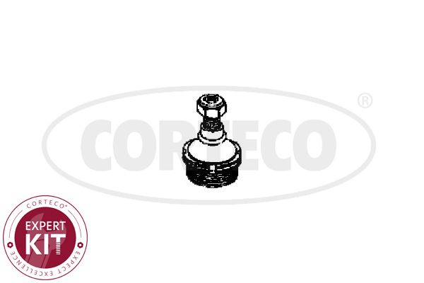 Przegub mocujący / prowadzący CORTECO 49395635