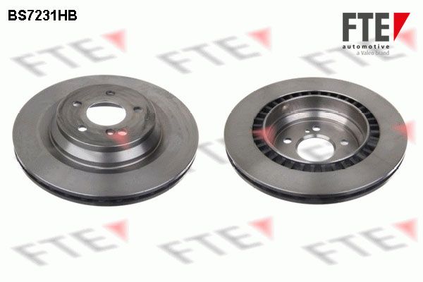 Tarcza hamulcowa FTE 9082597