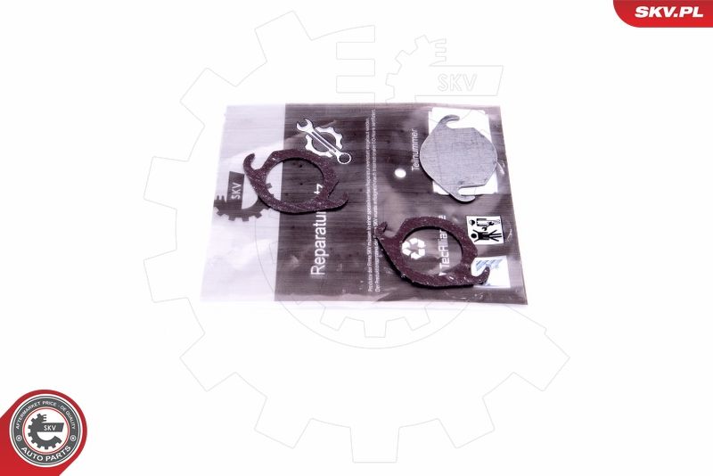 Set de reparație, supapă AGR ESEN SKV 14SKV540