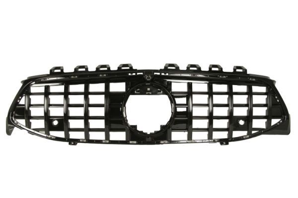 Grila radiator BLIC 6502-07-6824991P