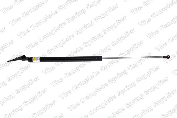 Gaasivedru, pagasi-/veoruum