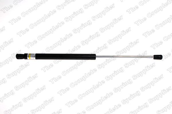 Gaasivedru, pagasi-/veoruum