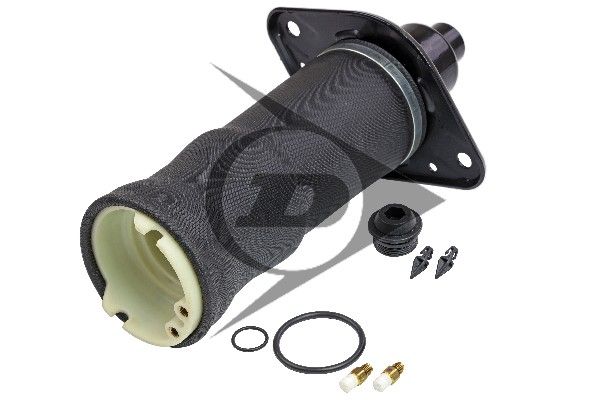 Arc pneumatic, directie DUNLOP AIRSUSPENSION 71049