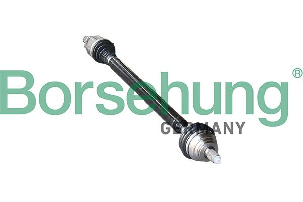Borsehung B18358