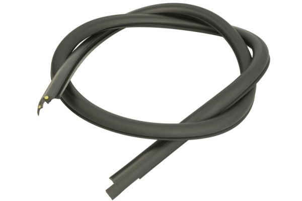 Elemente decorative/protectie, parbriz BLIC 5703-04-6037641Q