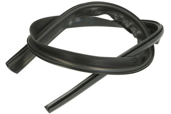 Ehis-/kaitseliist,Esiklaas