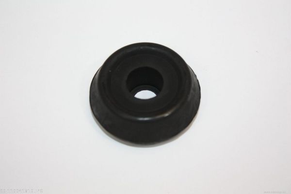 Kinnitus,stabilisaatori otsavarras