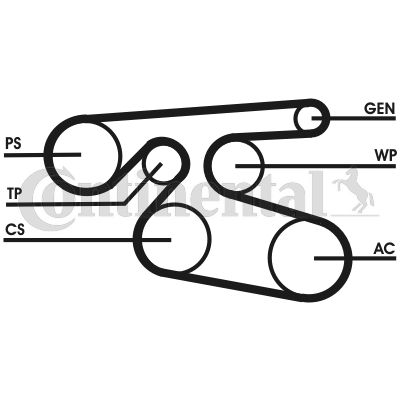 Pasek klinowy wielorowkowy CONTINENTAL CTAM 7PK2000